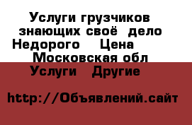 Услуги грузчиков  знающих своё  дело. Недорого  › Цена ­ 250 - Московская обл. Услуги » Другие   